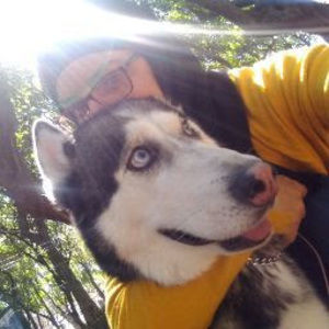 Meet your Posher, Dany